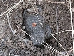 Como melhorar a fertilidade dos solos em&nbsp;Trás-os-Montes